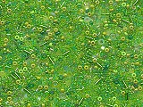Czech Seed Beads Green Mix - Ref: 1044