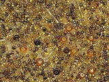 Czech Seed Golden Mix - Ref: 1043