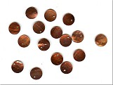 Shell Disc Dark Copper (8.5g Pack) - Ref: 170