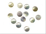 Shell Disc Natural (8.5g Pack) - Ref: 162